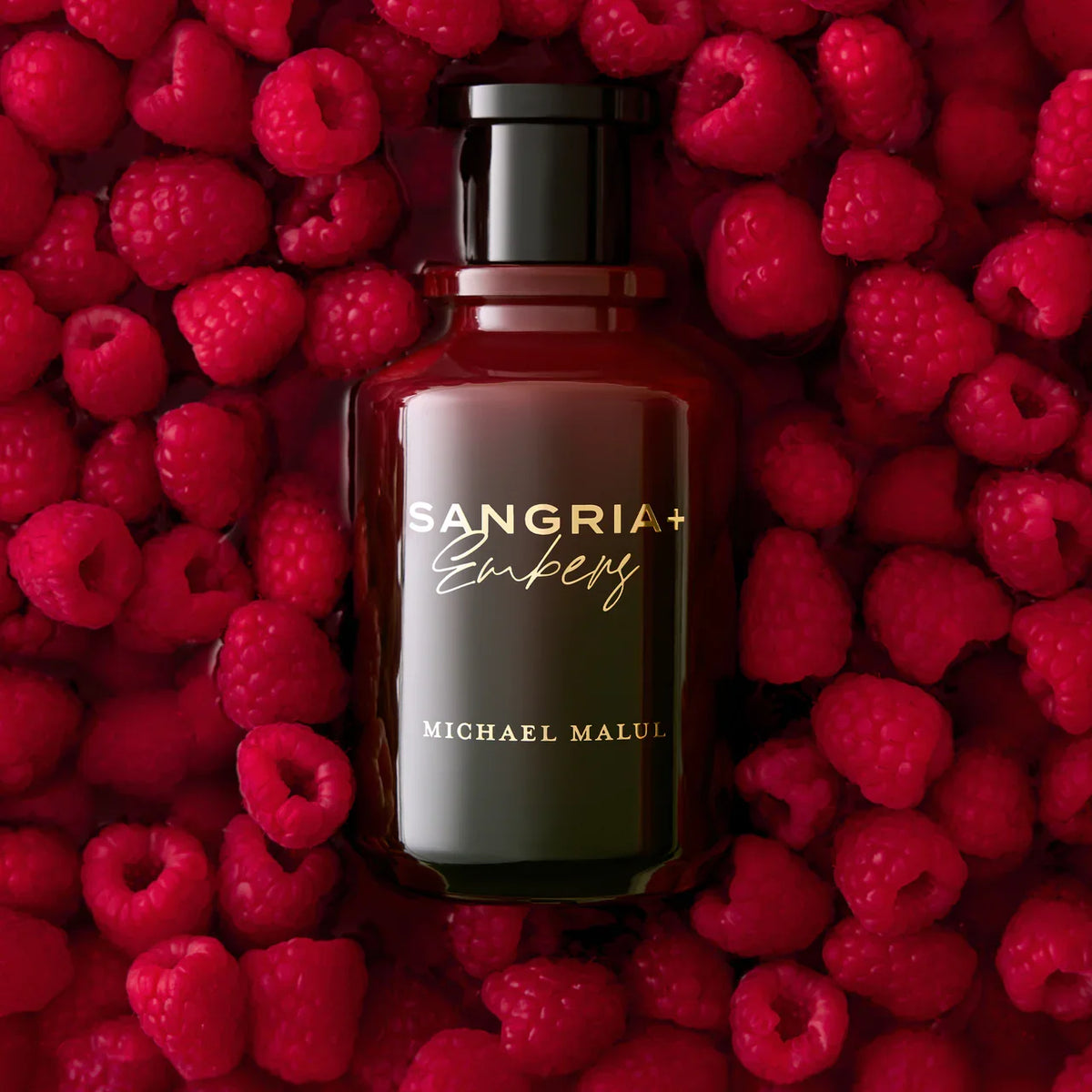 Michael Malul Sangria+Embers EDP - Perfume Las Vegas
